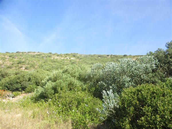 276 m² Land