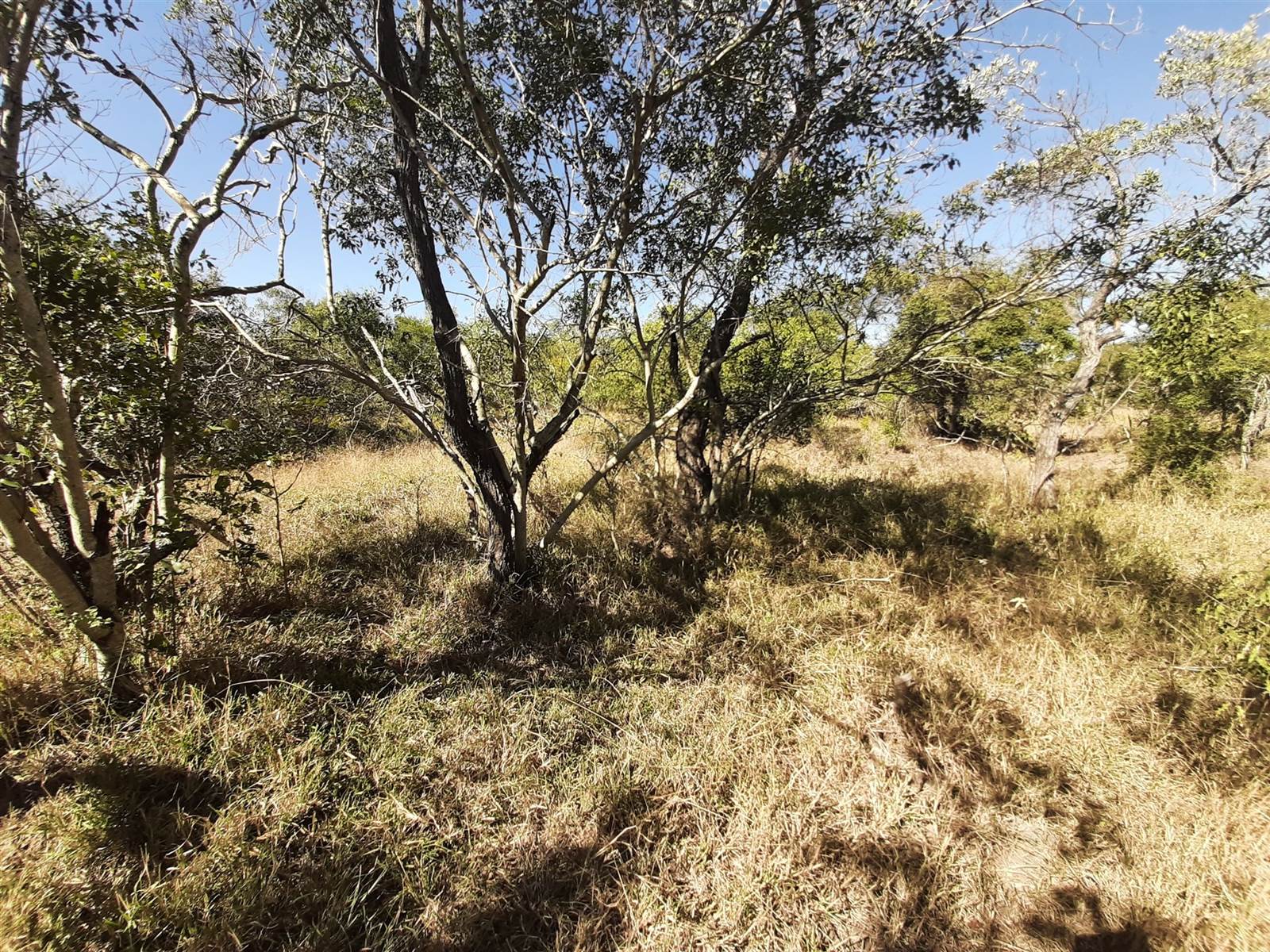 9245 m² Land available in Moditlo Nature Reserve photo number 7