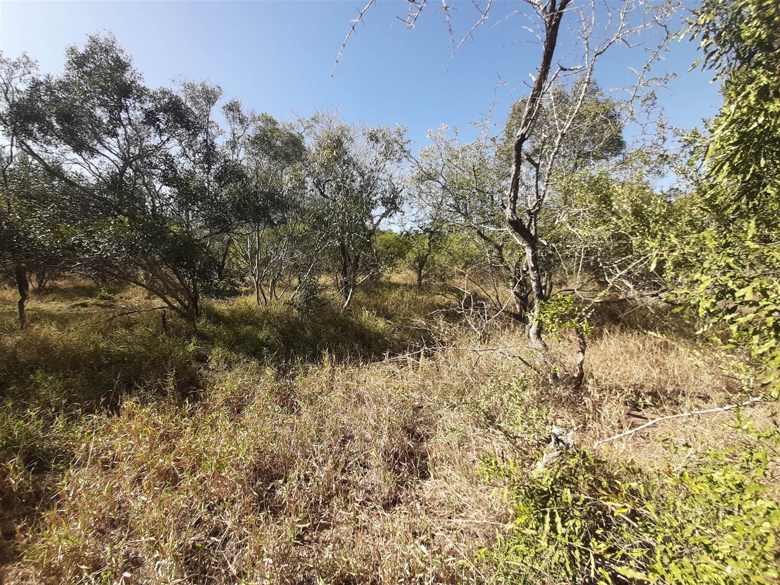 9245 m² Land available in Moditlo Nature Reserve photo number 6