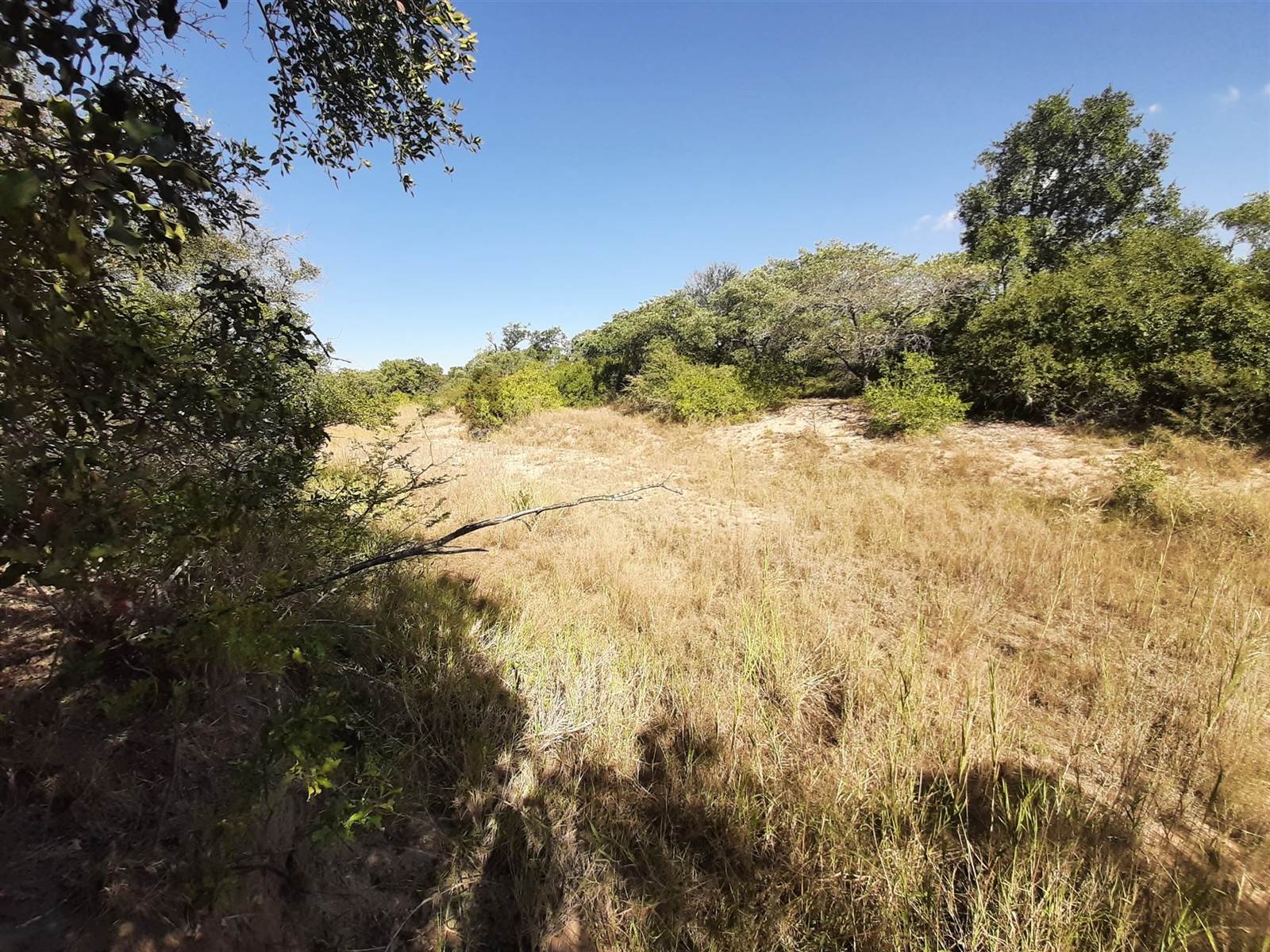 9245 m² Land available in Moditlo Nature Reserve photo number 1