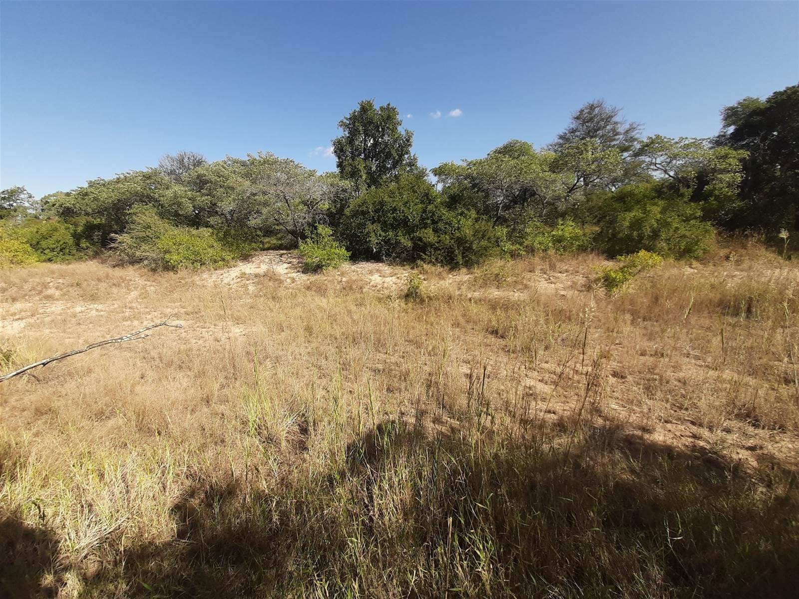 9245 m² Land available in Moditlo Nature Reserve photo number 4