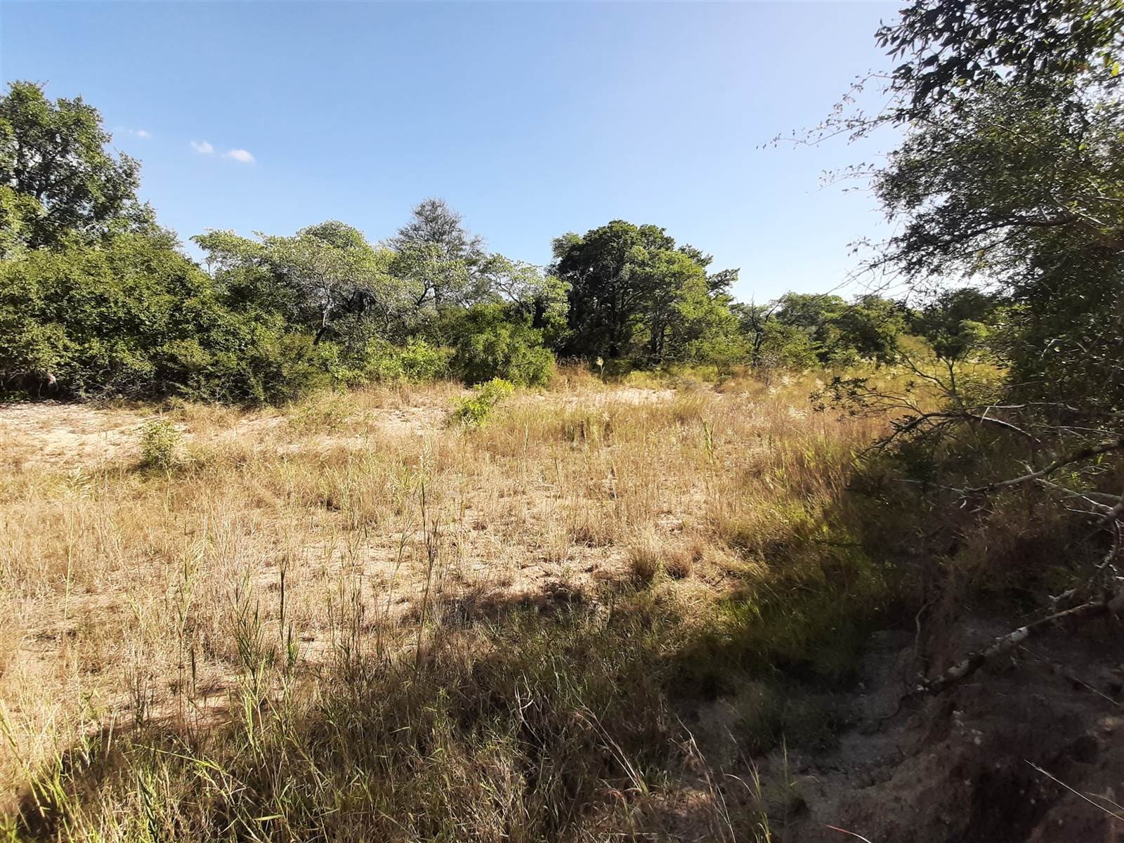 9245 m² Land available in Moditlo Nature Reserve photo number 3