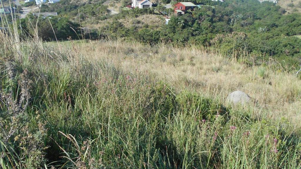 793 m² Land available in Morgans Bay photo number 2
