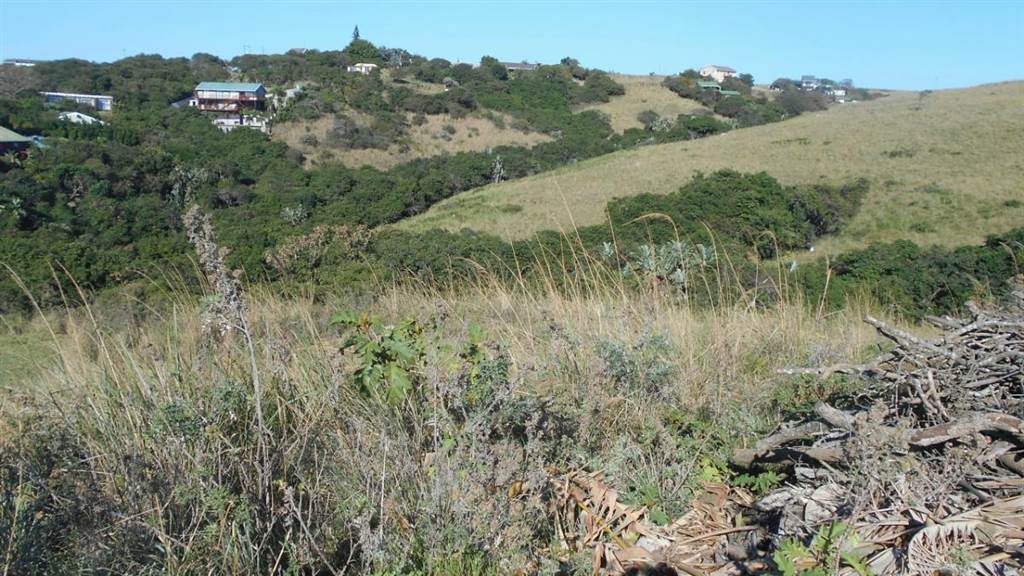 793 m² Land available in Morgans Bay photo number 7