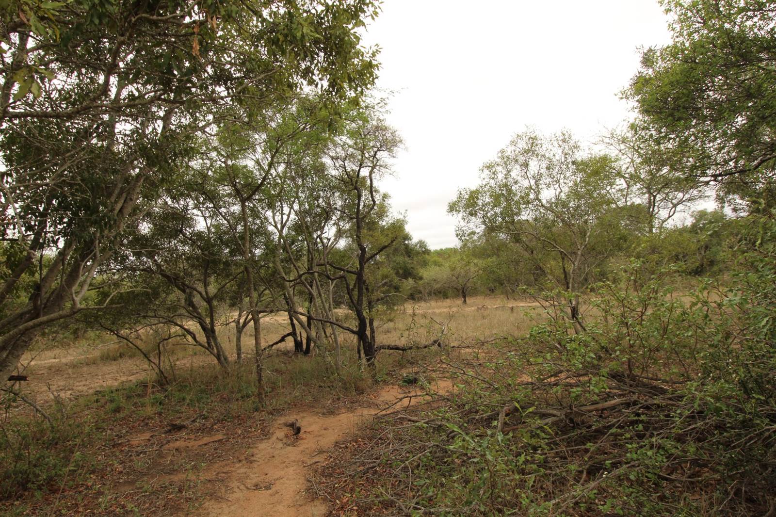 9114 m² Land available in Moditlo Nature Reserve photo number 2
