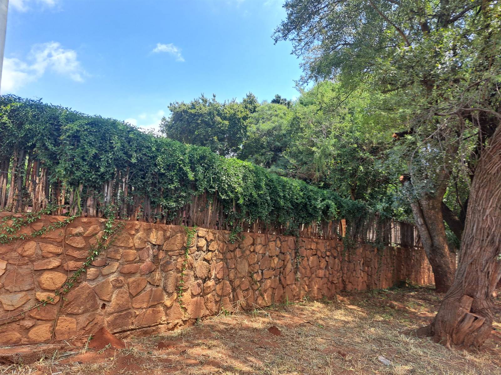 730 m² Land available in Pretoria North photo number 3