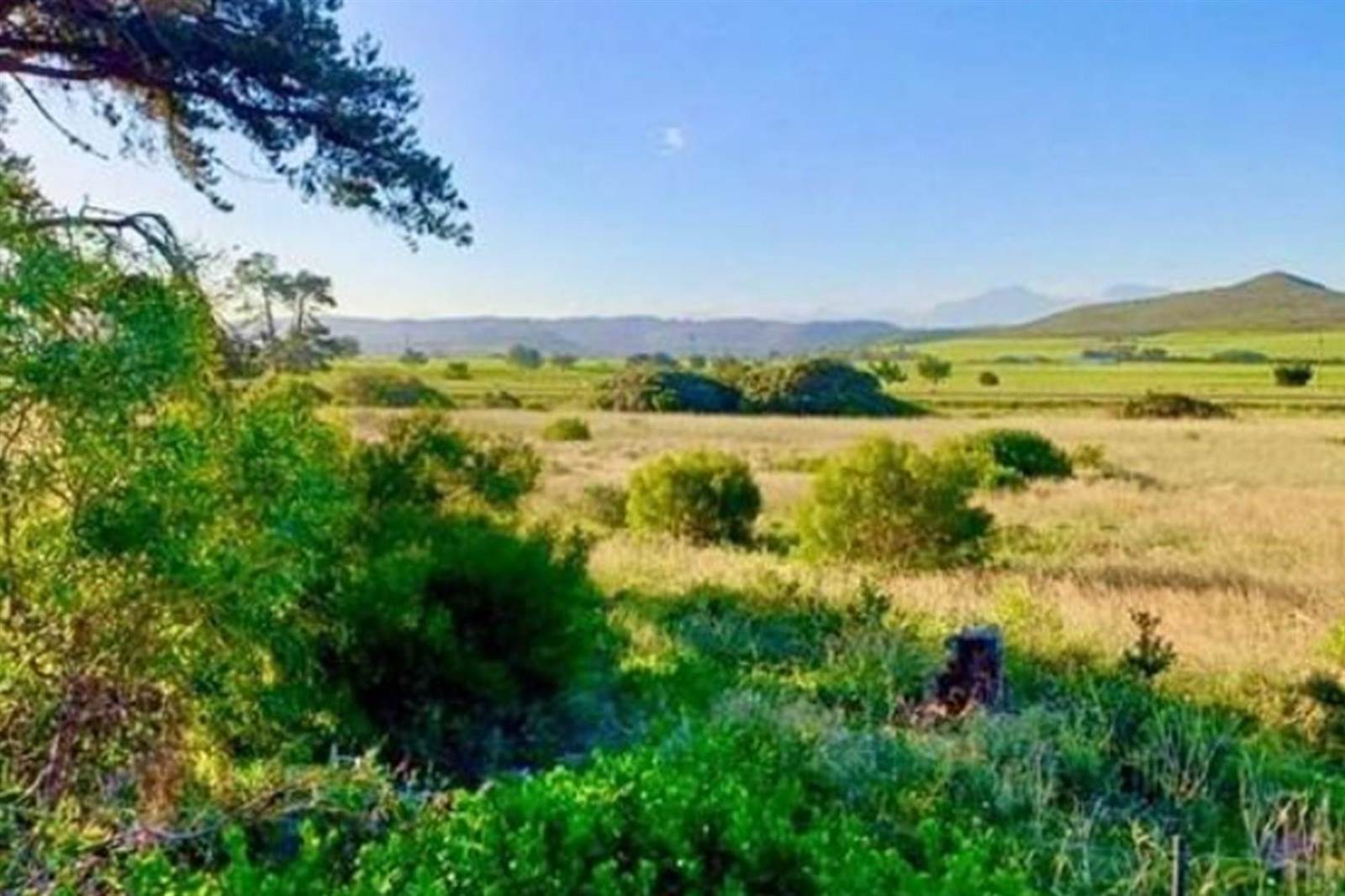 480 m² Land available in Klein Brak River photo number 11
