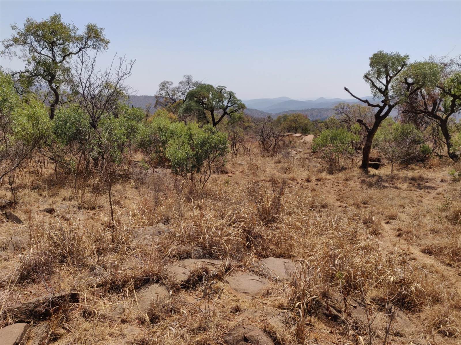 1 ha Land available in Lydenburg photo number 4