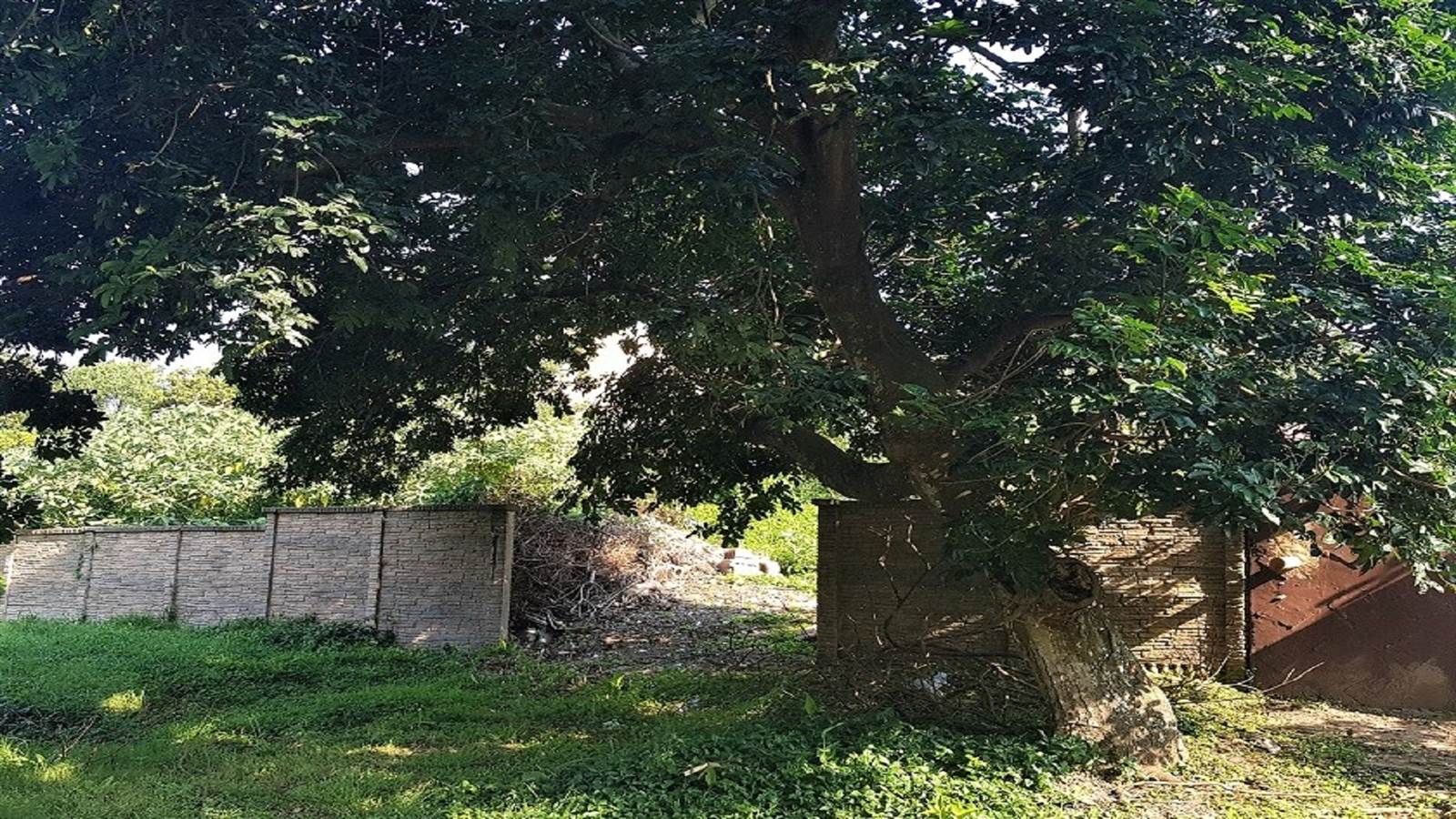 1560 m² Land available in Widenham photo number 1