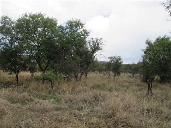 7951 m² Land available in Leeuwfontein