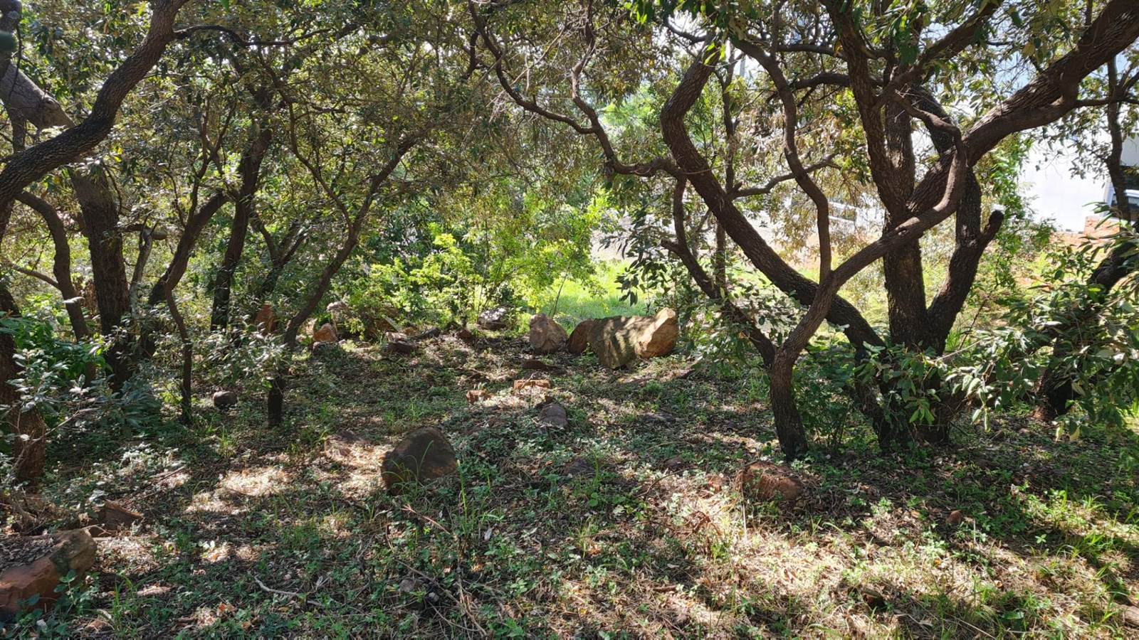 744 m² Land available in Cashan photo number 3