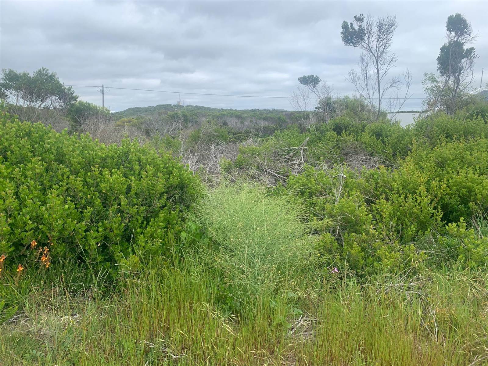 663 m² Land available in Struisbaai photo number 5