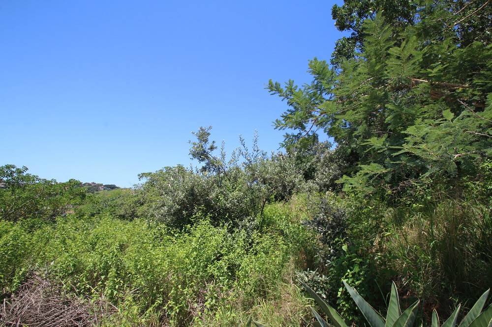 2221 m² Land available in Zimbali Estate photo number 2