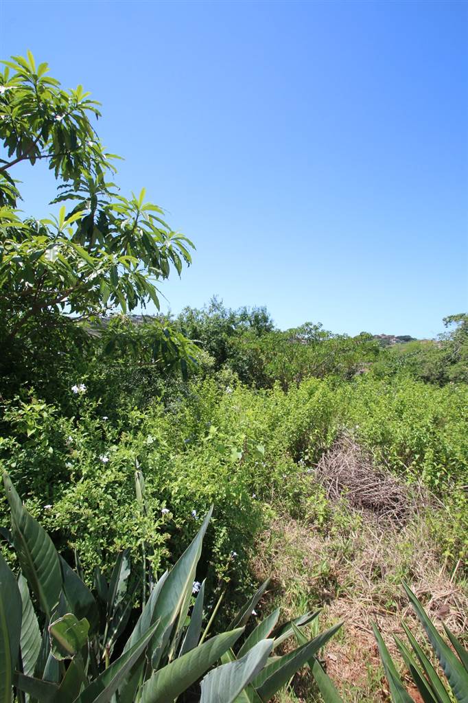 2221 m² Land available in Zimbali Estate photo number 3