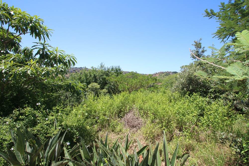 2221 m² Land available in Zimbali Estate photo number 1