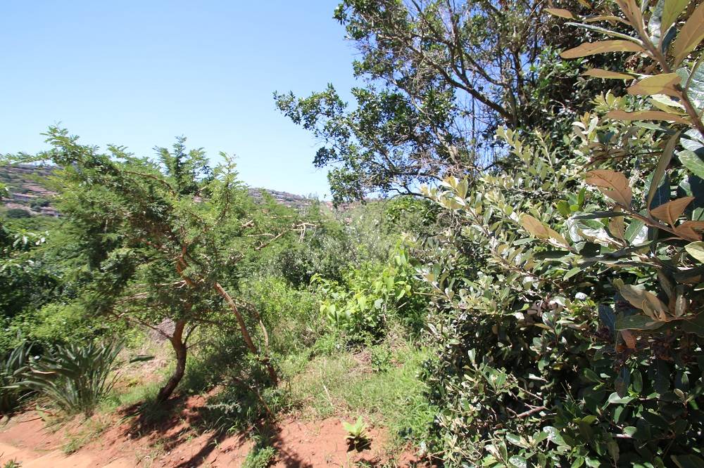 2221 m² Land available in Zimbali Estate photo number 4
