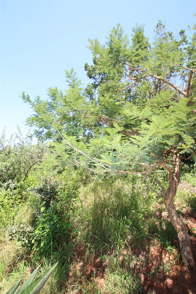 2221 m² Land available in Zimbali Estate photo number 5