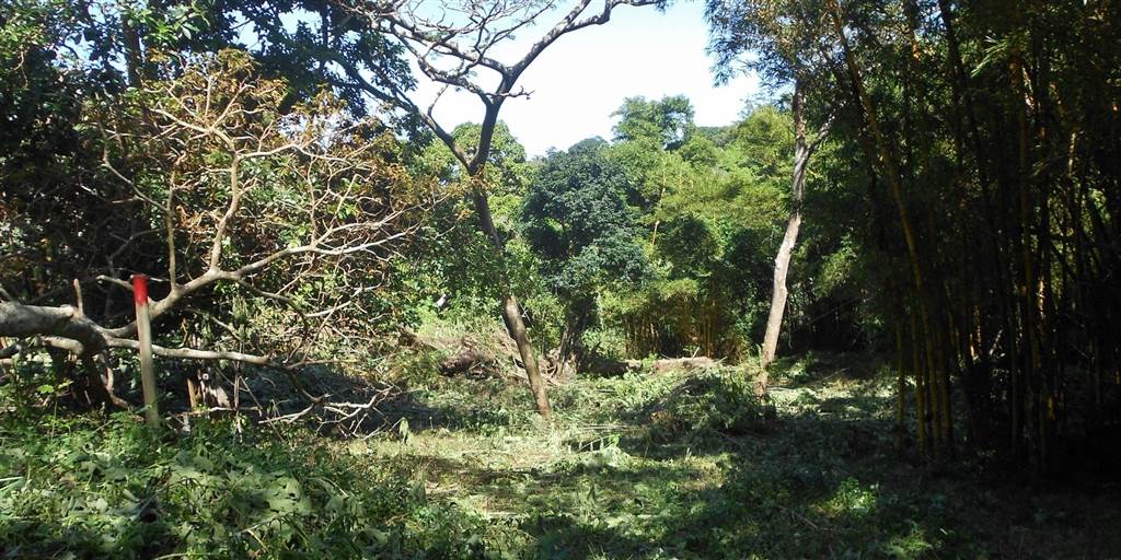 2500 m² Land available in Umtentweni photo number 7