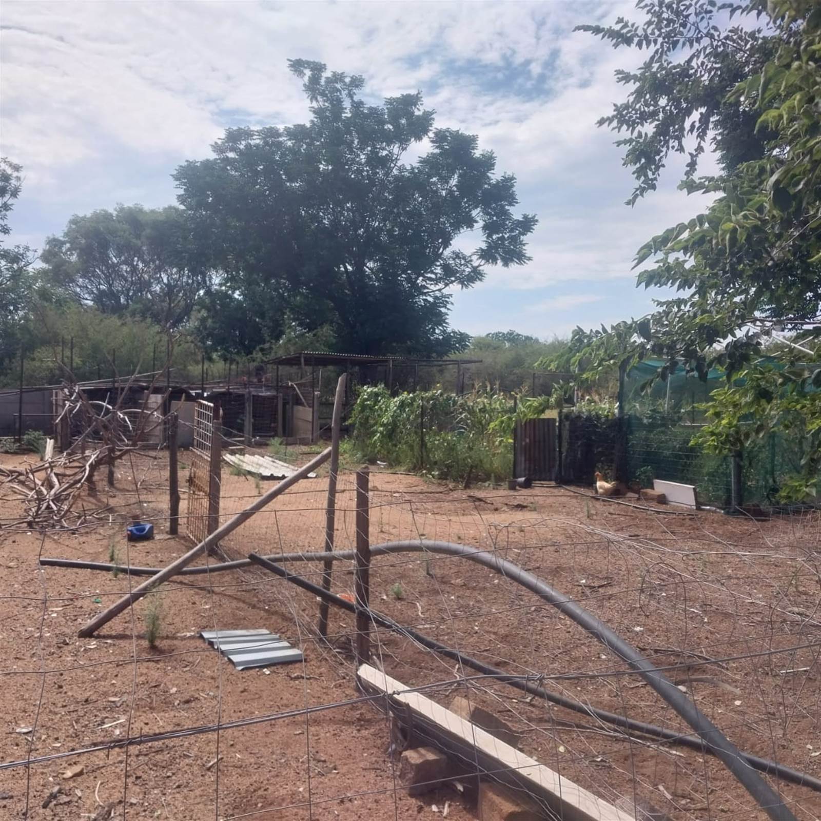 8.5 ha Farm in Bultfontein AH photo number 13