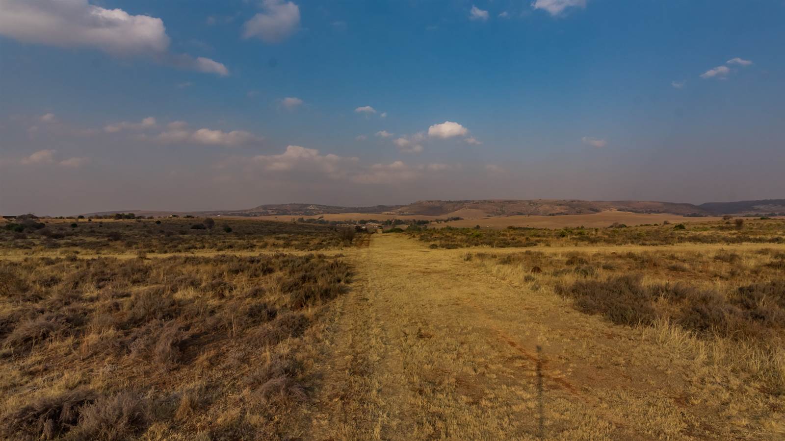 216 ha Farm in Sterkfontein and surrounds photo number 11