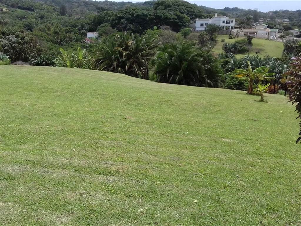 1355 m² Land available in Hibberdene photo number 4