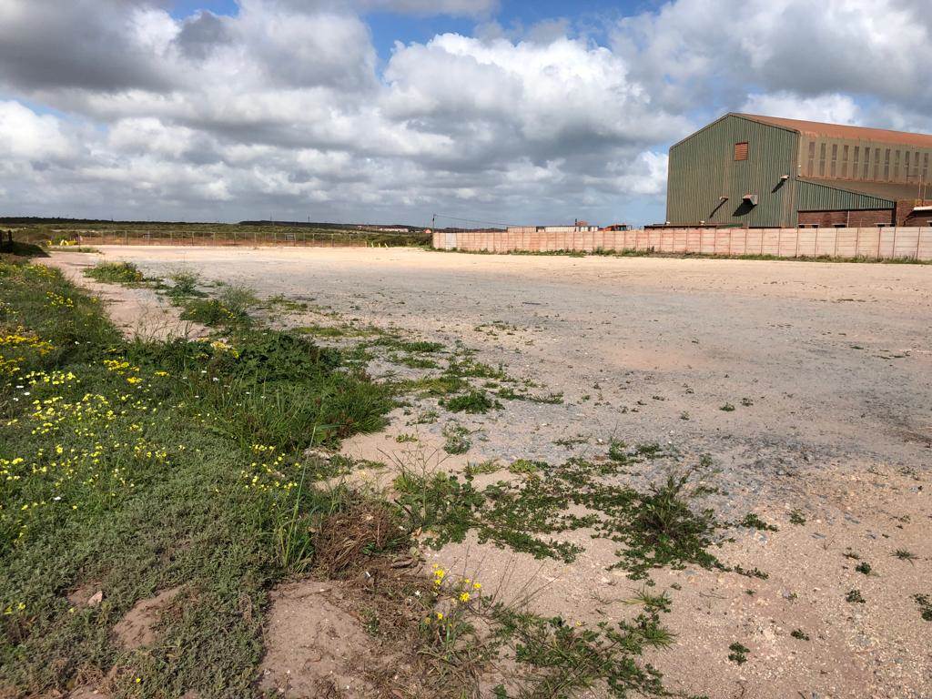 4000 m² Land available in Saldanha photo number 7