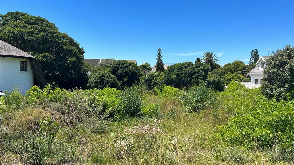 899 m² Land available in St Francis Bay photo number 6