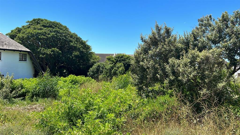899 m² Land available in St Francis Bay photo number 2