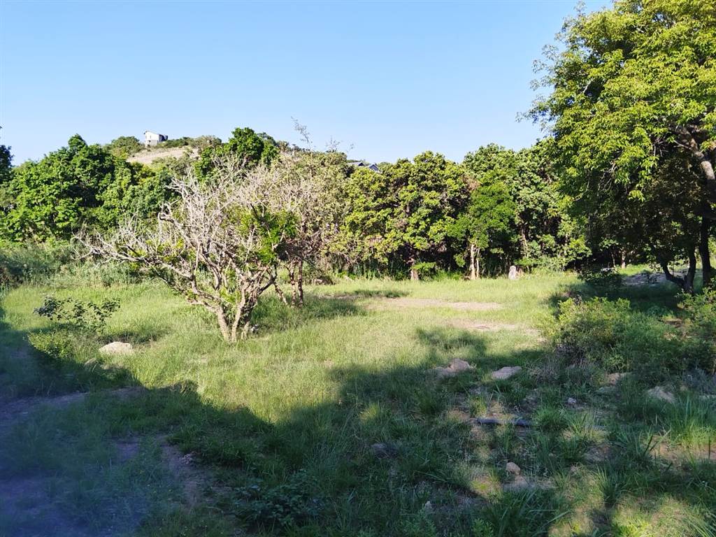1345 m² Land available in The Rest Nature Estate photo number 5