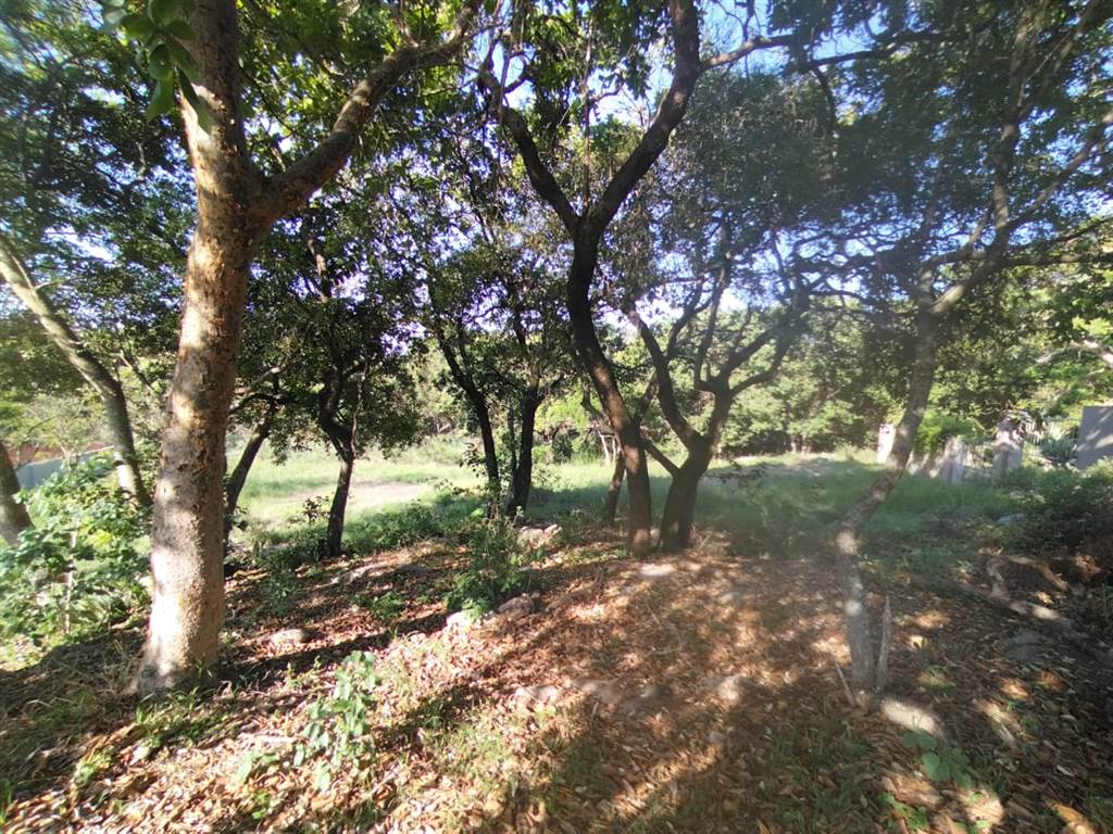 1345 m² Land available in The Rest Nature Estate photo number 2