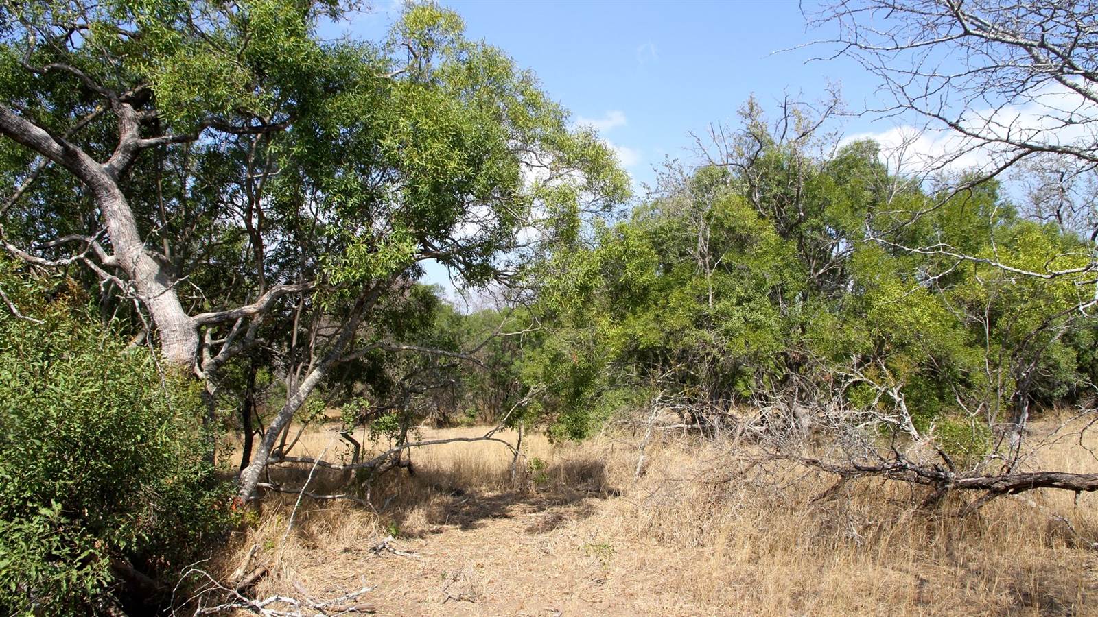 7834 m² Land available in Moditlo Nature Reserve photo number 2