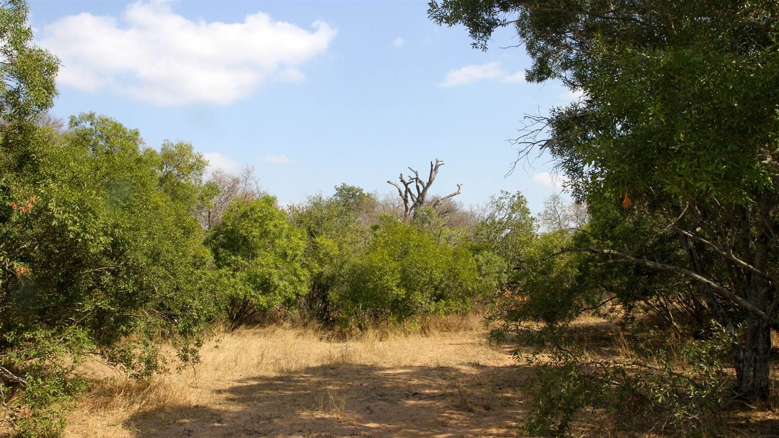 7834 m² Land available in Moditlo Nature Reserve photo number 6