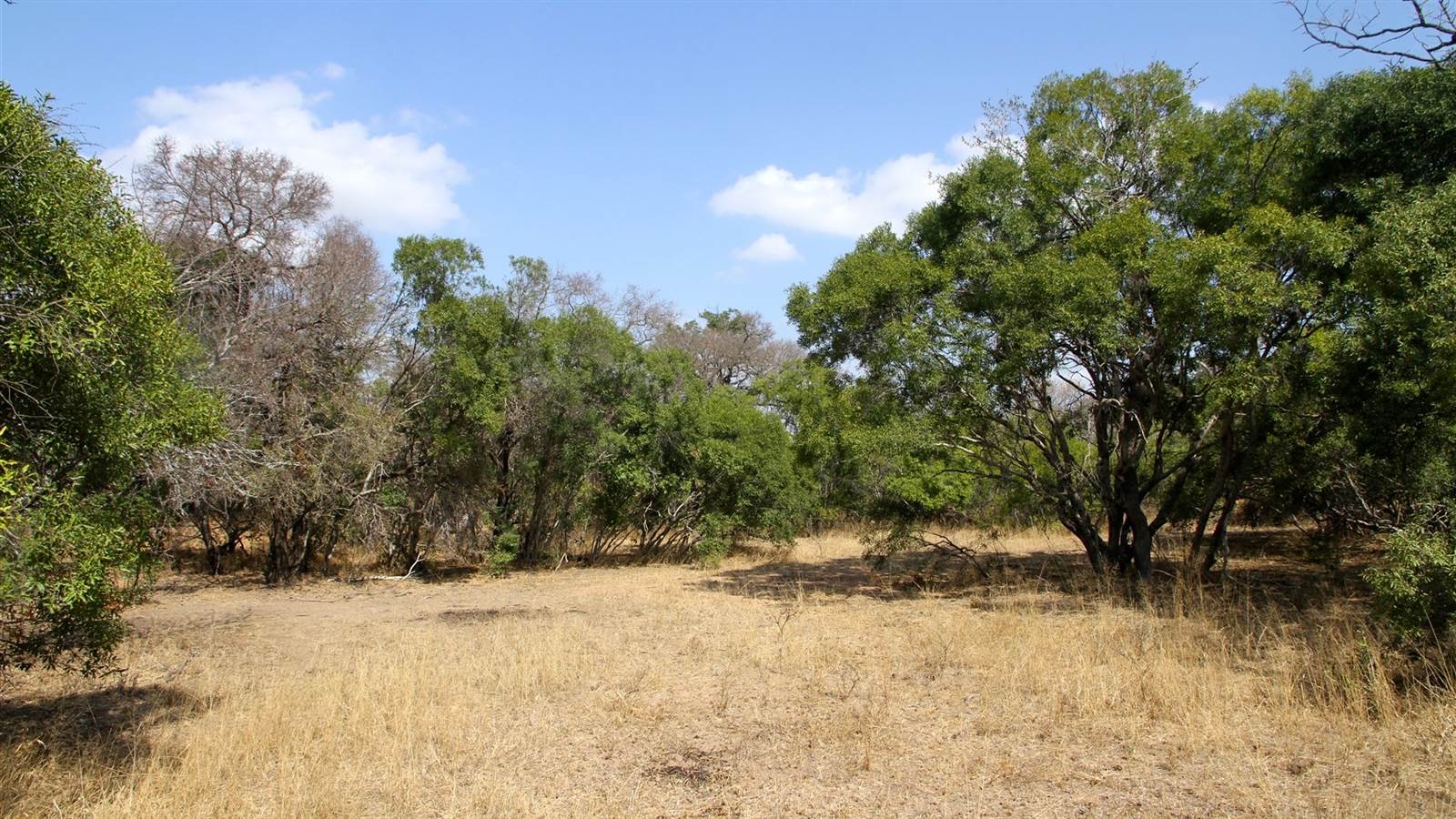 7834 m² Land available in Moditlo Nature Reserve photo number 3