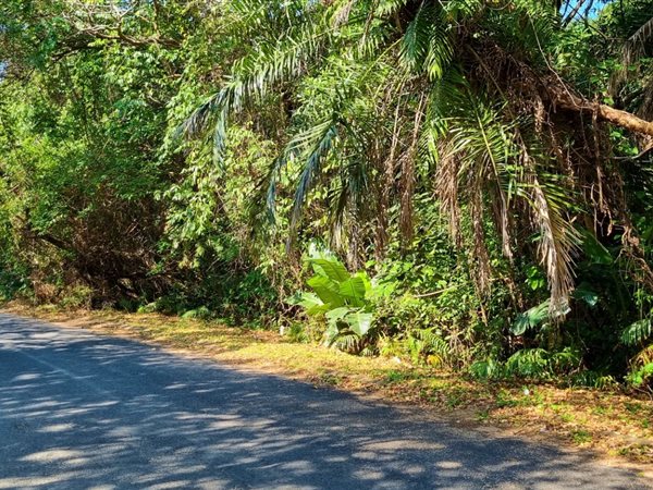 1 553 m² Land