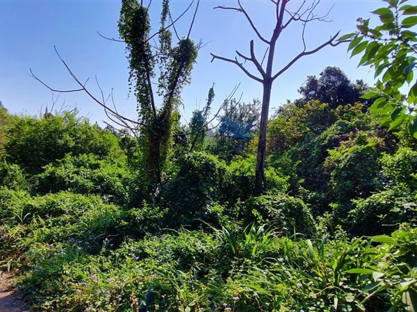 1 349 m² Land