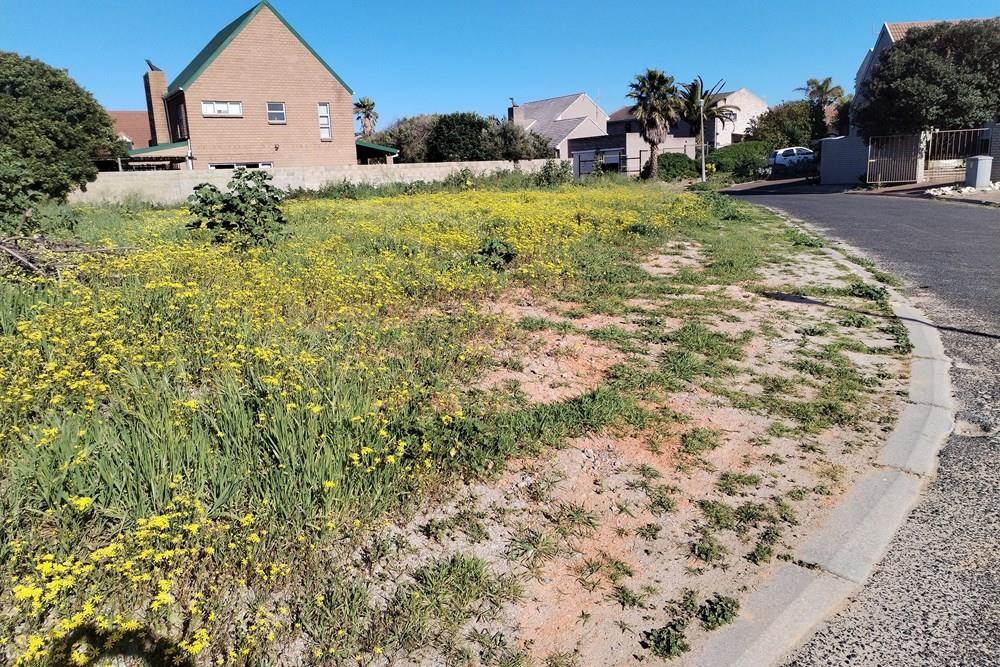 605 m² Land available in Saldanha photo number 2