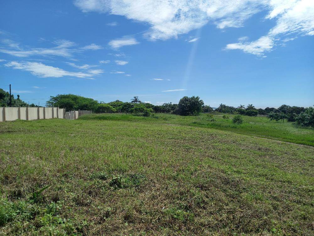 1765 m² Land available in Zinkwazi Beach photo number 13