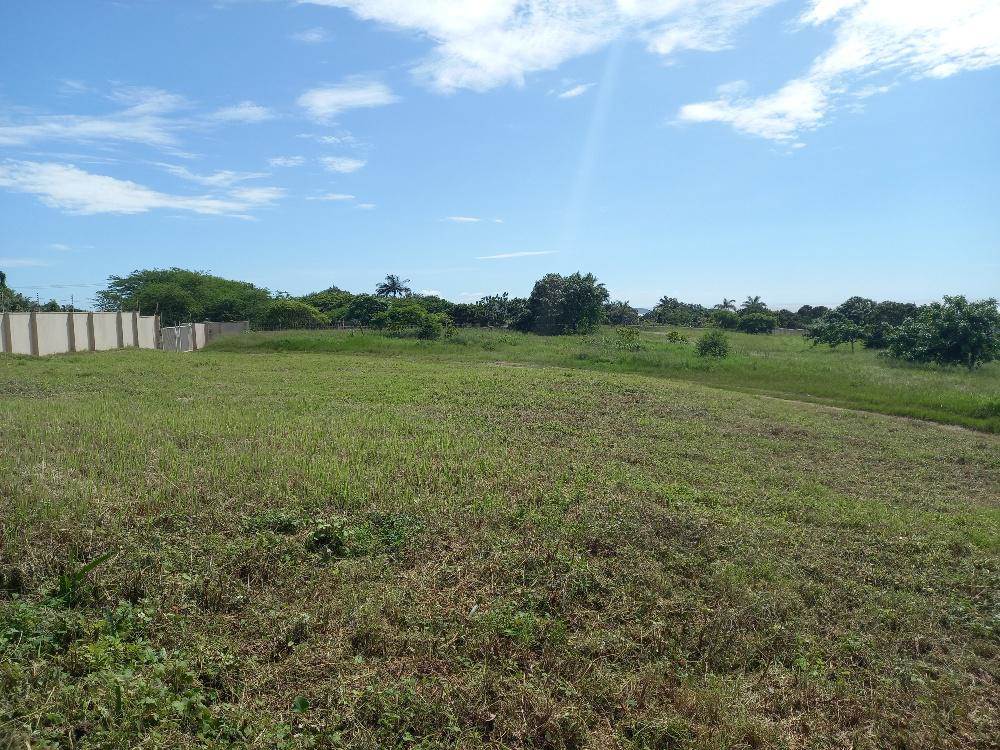 1765 m² Land available in Zinkwazi Beach photo number 1