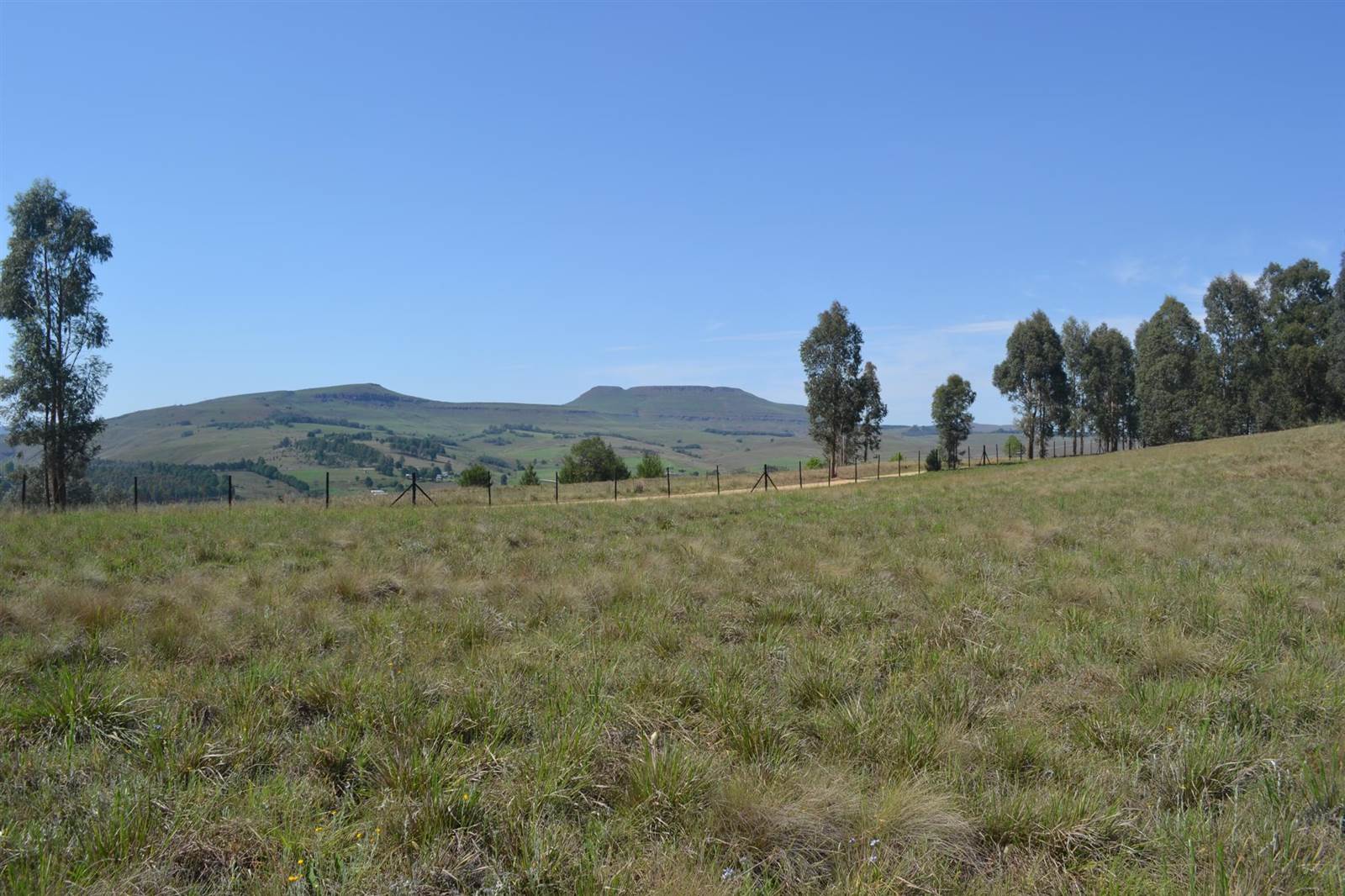 2215 m² Land available in Underberg photo number 13