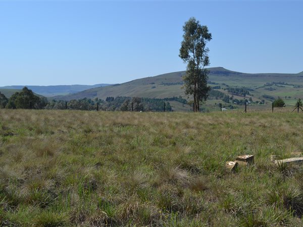 2215 m² Land available in Underberg