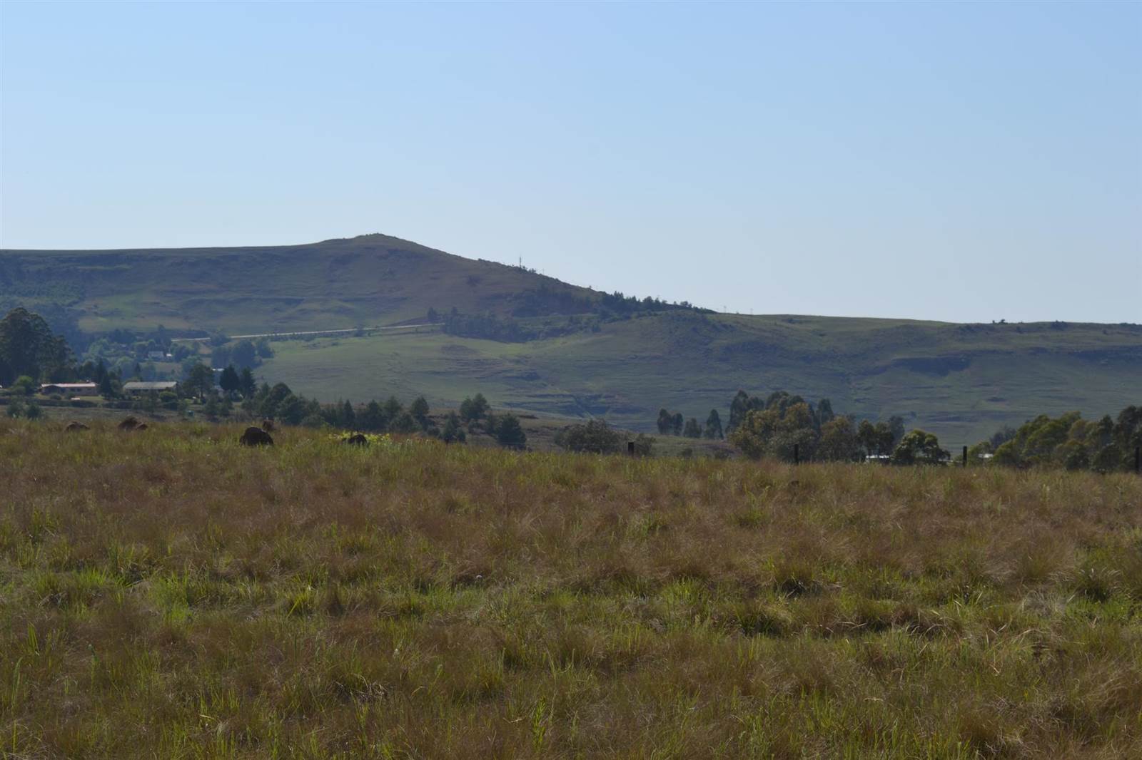 2215 m² Land available in Underberg photo number 5