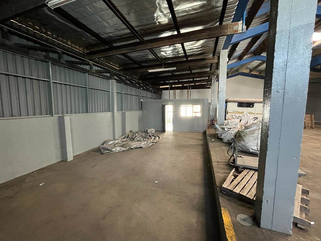 400  m² Industrial space in Gately photo number 9
