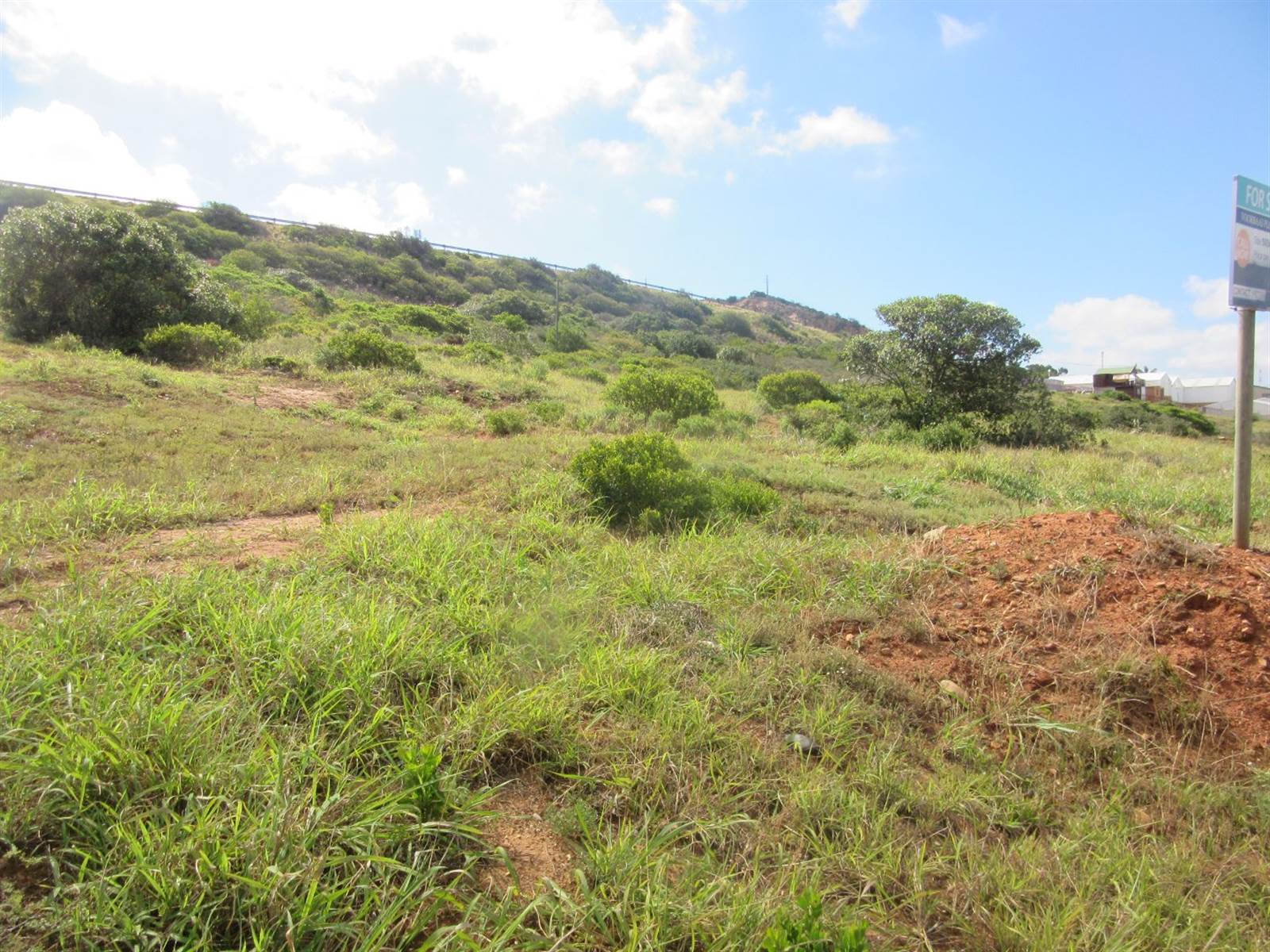 3864 m² Land available in Diaz Beach photo number 3