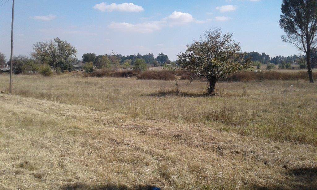 2.1 ha Land available in Homelands photo number 4