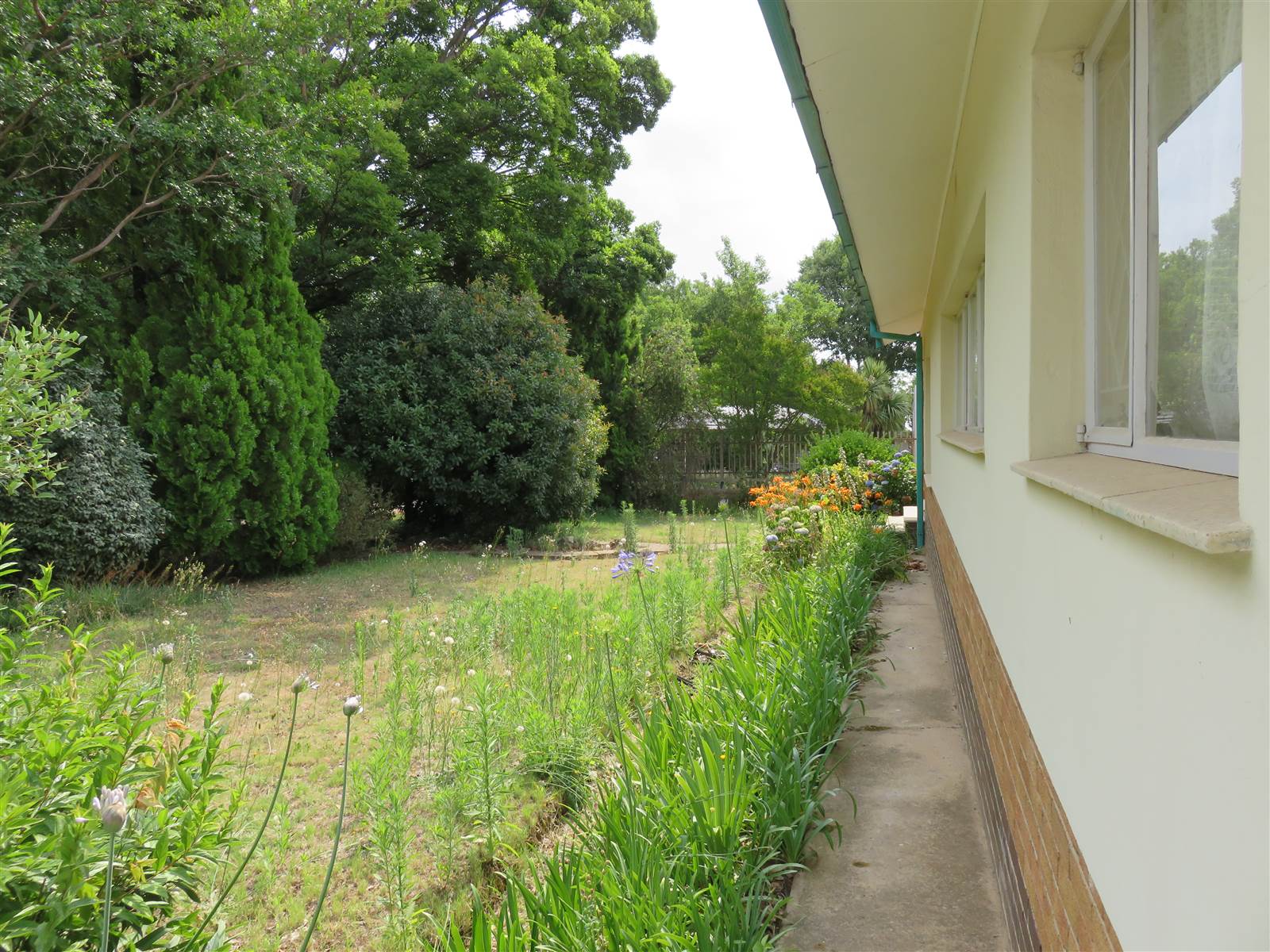 4 Bed House in Panorama photo number 16