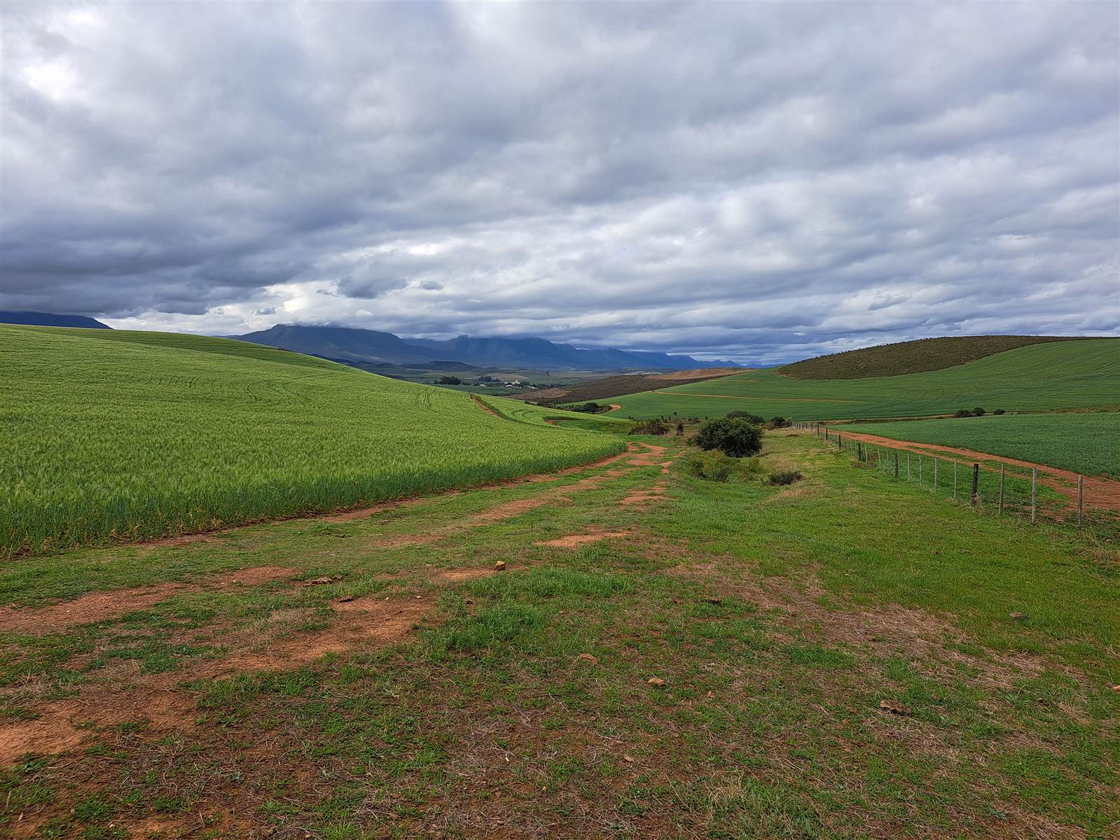 89 ha Farm in Riversdale photo number 4