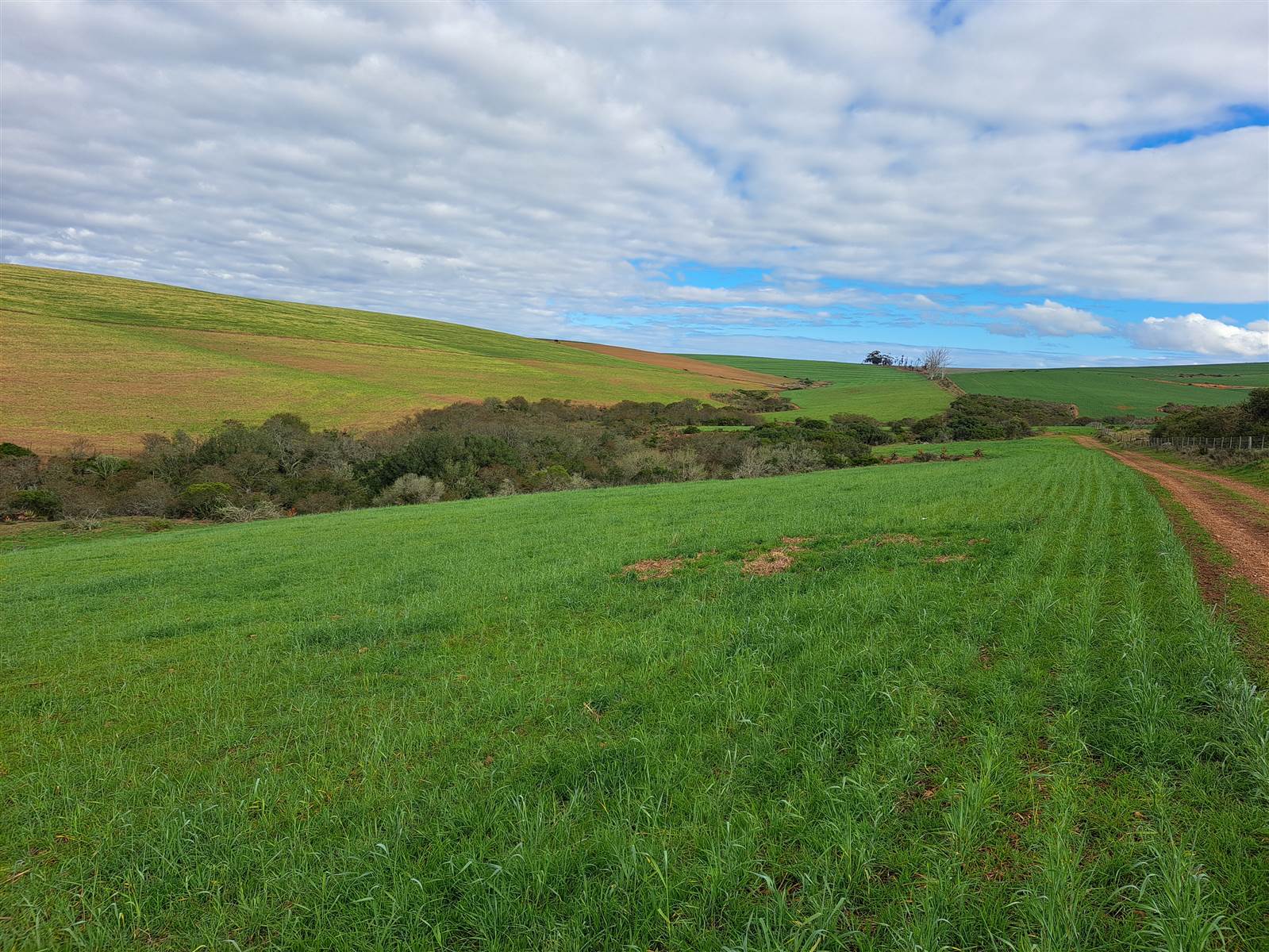 89 ha Farm in Riversdale photo number 22