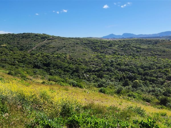 832 m² Land available in Great Brak River
