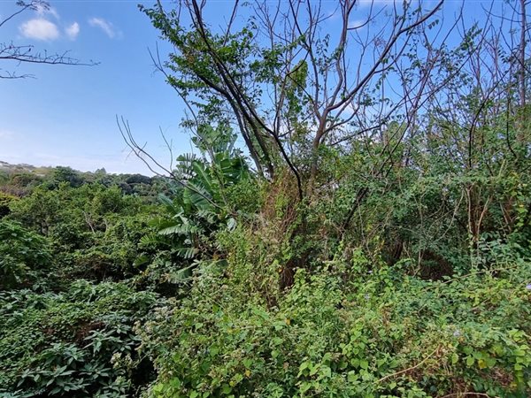 1 360 m² Land