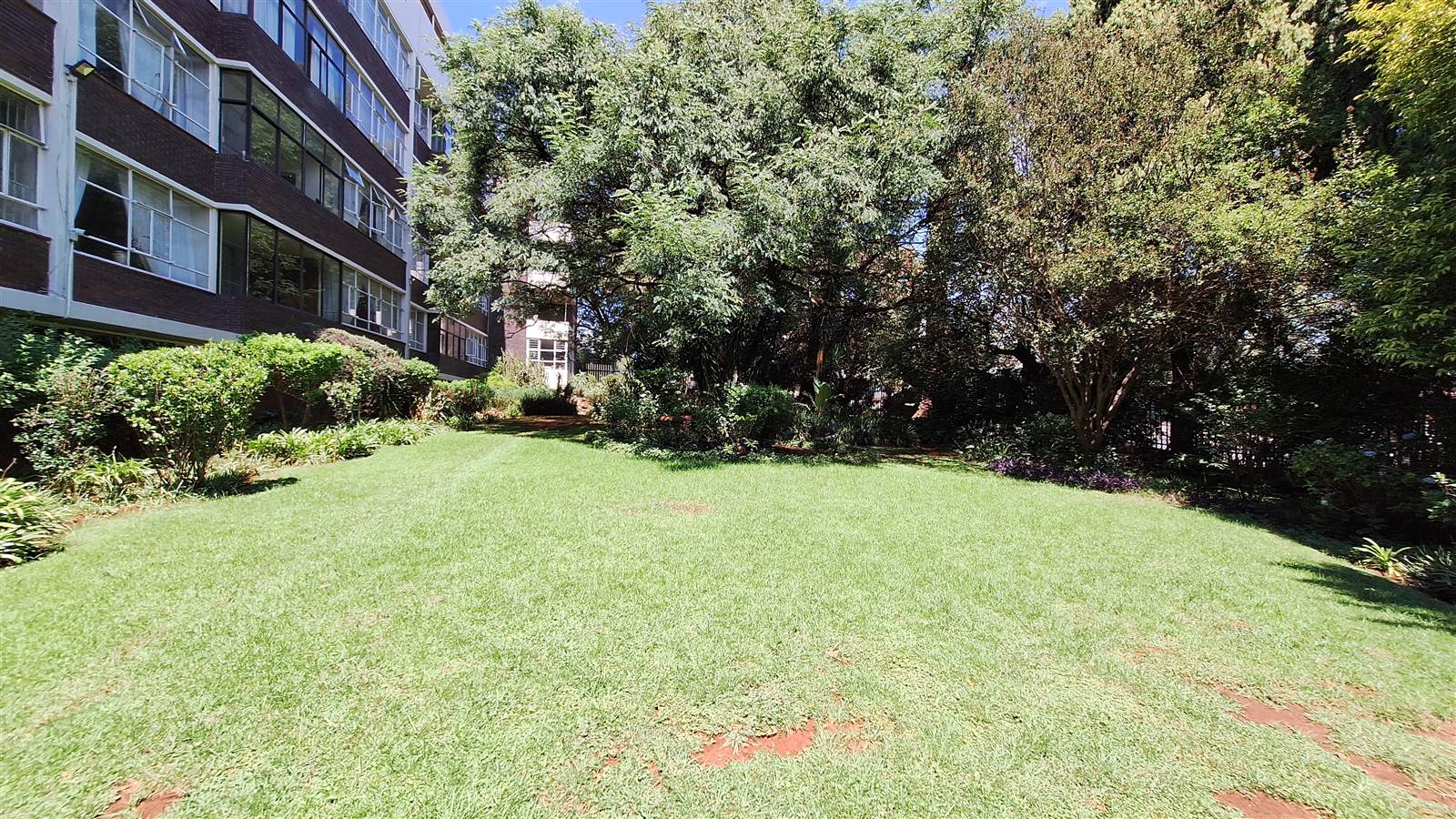 3 Bed Apartment in Parktown photo number 17